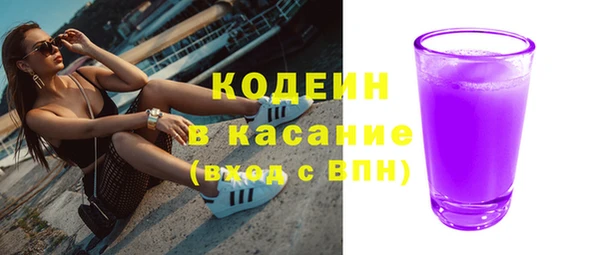 сатива Инта