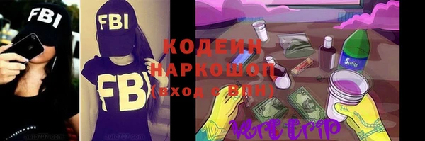 сатива Инта