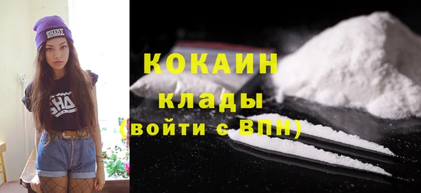 сатива Инта