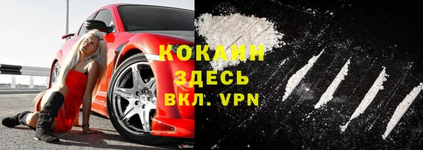 сатива Инта